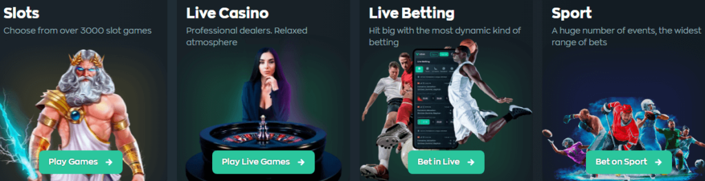 Exciting Options to Gamble at Vave